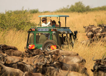 Tanzania Sees Surge in Tourist Arrivals and Revenue in 2023