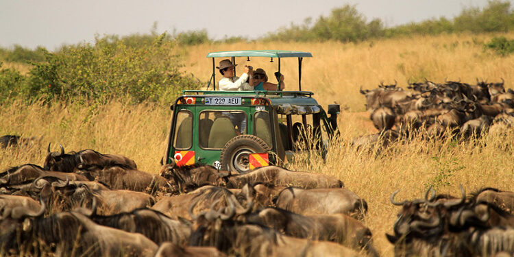 Tanzania Sees Surge in Tourist Arrivals and Revenue in 2023