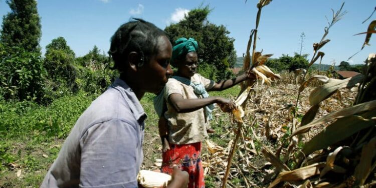Kenya’s Economy Expands by 5.0% in Q1 2024