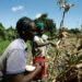 Kenya’s Economy Expands by 5.0% in Q1 2024