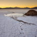 Lithium Market: From Boom to Bust and Beyond