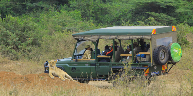 Kenya Leverages Public-Private Partnerships to Boost Adventure Tourism