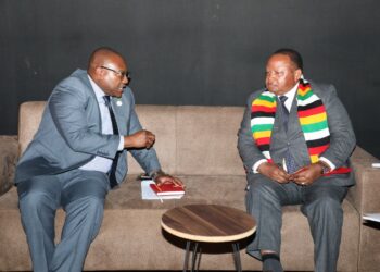 Zambia Seeks Zimbabwe’s Backing for AfDB Presidency Candidature