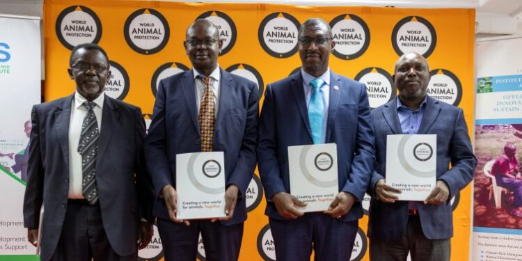 Smallholder Farmers Central to Africa’s Transition to Sustainable Agriculture, Say Campaigners at Nairobi Summit