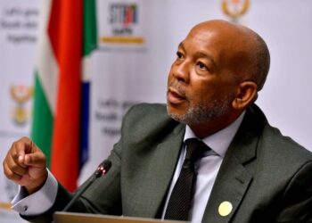 South Africa Advances Nuclear Power Plans to Boost Energy Capacity