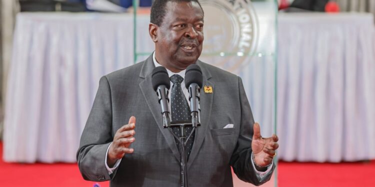 Kenya Calls for Review of Foreign Policy to Reflect Global Trends