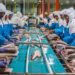 Namibia Intensifies Crackdown on Tax Evasion in Fishing Industry