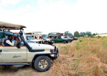 Tanzania Mandates Local Currency Payments in Tourism Sector
