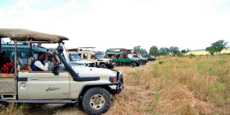 Tanzania Mandates Local Currency Payments in Tourism Sector