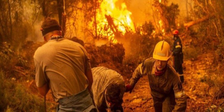 Wildfires Ravage KwaZulu-Natal Province in South Africa