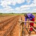 Zimbabwe Seeks Investment in Irrigation to Combat Climate Challenges