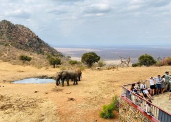 Kenya’s Tourism Sector Experiences Steady Growth with Increase in Revenue