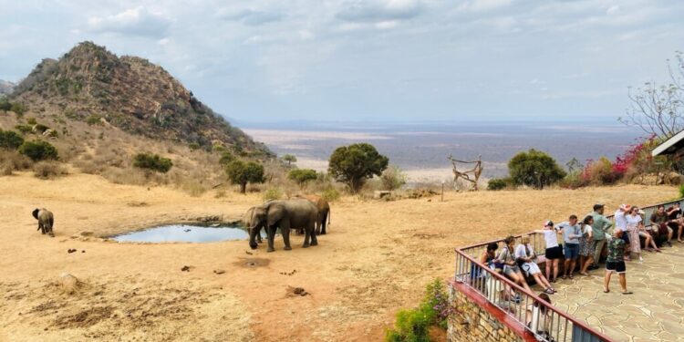 Kenya’s Tourism Sector Experiences Steady Growth with Increase in Revenue