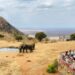 Kenya’s Tourism Sector Experiences Steady Growth with Increase in Revenue
