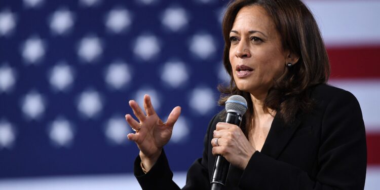 Kamala Harris’ Momentum Post-Convention: Can She Sustain the Surge?