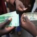 Zimbabwe Introduces Stringent Penalties for Businesses Manipulating ZiG Currency