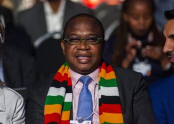 Hon. Professor Mthuli Ncube| How to finance Africa’s future economic development