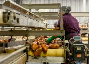 Africa’s food processing sector holds the key to a food-secure and prosperous continent