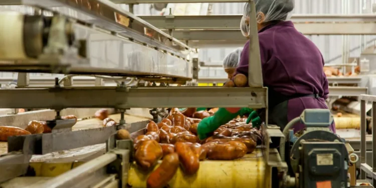 Africa’s food processing sector holds the key to a food-secure and prosperous continent