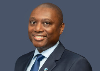 Standard Bank Group Reports 4% Earnings Growth and 8% Dividend Increase for First Half of 2024