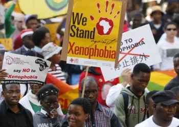 Are South African Problems Really Caused by Immigrants? The Surprising Facts