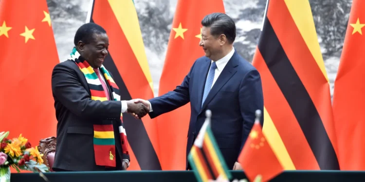 Zimbabwe Secures Landmark Agreement for Avocado Exports to China