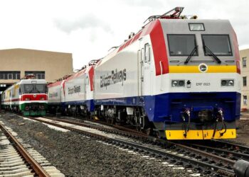 Ethiopia-Djibouti Railway Begins Livestock Transport to Djibouti Ports