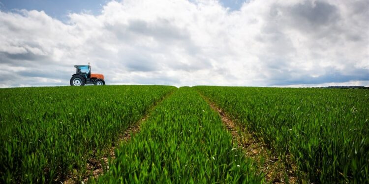 South Africa’s Land Bank Reaches Debt Default Resolution