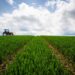 South Africa’s Land Bank Reaches Debt Default Resolution