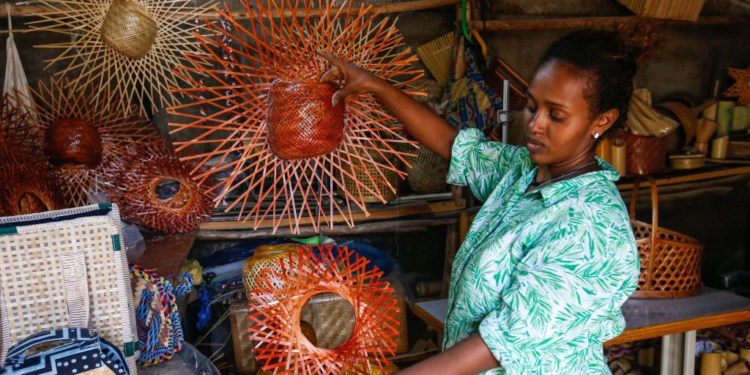From Housemaid to Bamboo Artisan: The Remarkable Journey of Ethiopia’s Fikirte Gebre