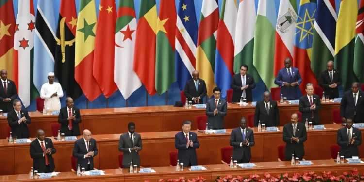 OPINION | China-Africa summit a fitting showcase of Global South’s rise