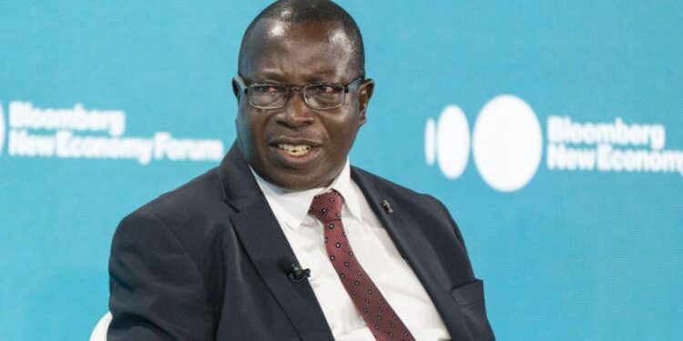 Tanzania’s Vice President Advocates for Domestic Value Addition in Mining Sector