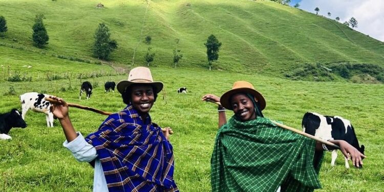 Milk Bars of Rwanda: Where Culture and Tradition Thrive in Every Sip