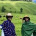 Milk Bars of Rwanda: Where Culture and Tradition Thrive in Every Sip