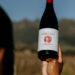 South Africa’s Liquid Gold: Turning Wine into a Personal Asset