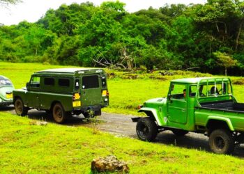 Global Land Rover Festival in Tanzania Draws Over 1,000 Vehicles in Bid to Break Guinness World Record