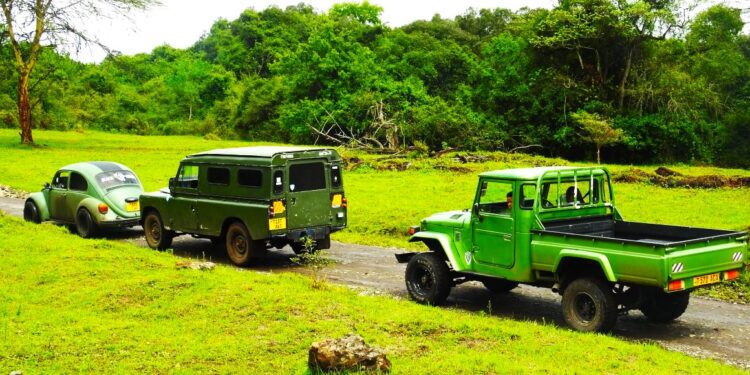 Global Land Rover Festival in Tanzania Draws Over 1,000 Vehicles in Bid to Break Guinness World Record