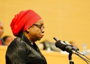 Zambian Vice President Urges COMESA to Prioritise Investment in Climate-Resilient Technologies