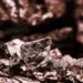 Tertiary Minerals Initiates Drilling at Mukai Project, Targets Copper Resource in Zambia