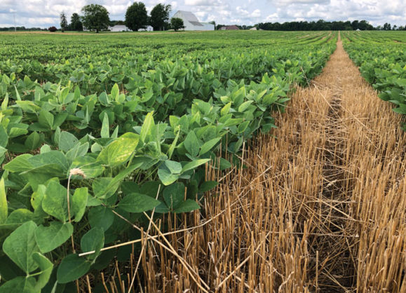 Rwanda Introduces Digital Soil Information System to Modernise Agriculture