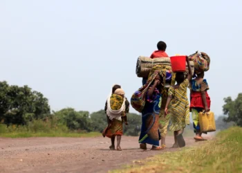 Displacement Crisis Deepens in Horn of Africa as Internally Displaced Numbers Surge to 20.4 Million