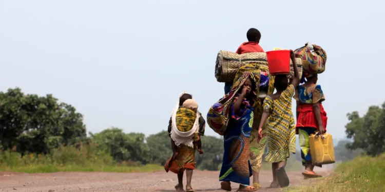 Displacement Crisis Deepens in Horn of Africa as Internally Displaced Numbers Surge to 20.4 Million