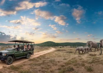 Top 10 African Countries with the Highest Tourism Export Shares in 2023