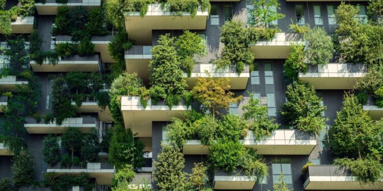 Building South Africa’s Green Workforce: Strategies for a Sustainable Future