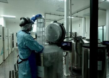 South Africa’s Research and Development Spending Sees Incremental Growth