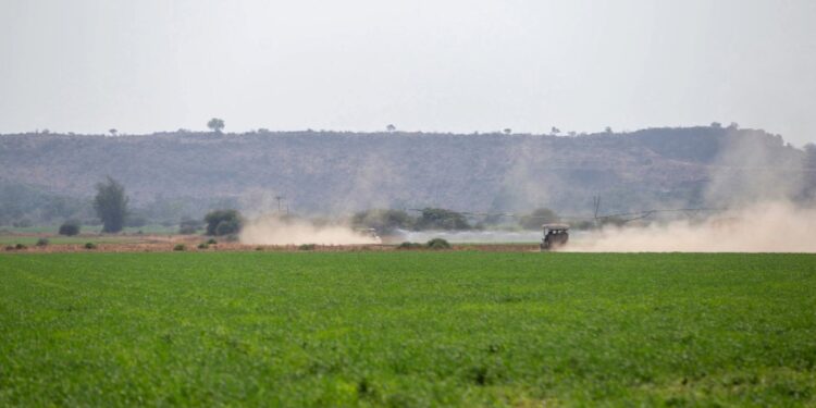 Standard Bank and Kwenantle Farmers Partner for Sustainable Agricultural Growth