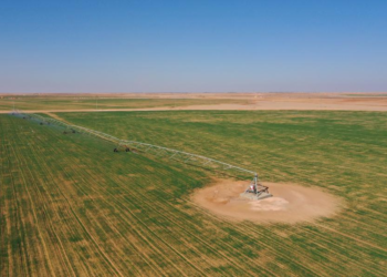 Turning Sands to Fields: How a Chinese Drilling Team is Redefining Egypt’s Desert