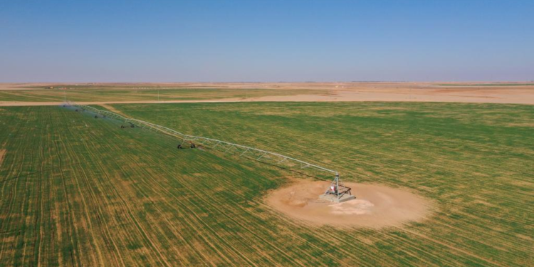 Turning Sands to Fields: How a Chinese Drilling Team is Redefining Egypt’s Desert