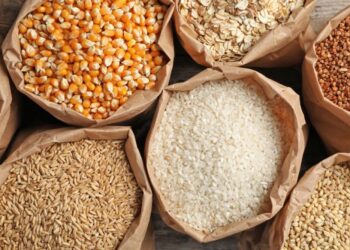 African Officials Call for Enhanced Cross-Border Cereal Trade