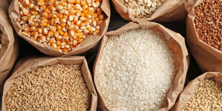 African Officials Call for Enhanced Cross-Border Cereal Trade